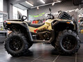 2026 Loncin XWolf 1000L Muddy, коричневый, 1399000 рублей - вид 1