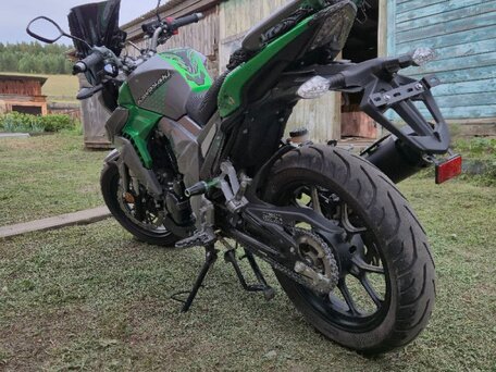 2020 Regulmoto T-Leopard 300, зелёный, 210000 рублей, вид 4