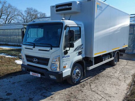2022 Hyundai e-Mighty, белый, 5500000 рублей, вид 2