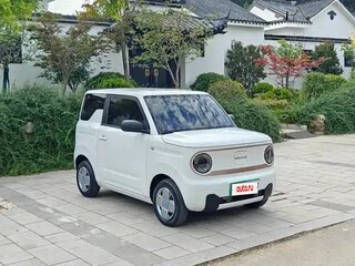 2023 Geely Panda Mini I, белый, 550001 рублей, вид 5