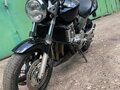 2003 Honda CB 600F Hornet, чёрный, 440000 рублей - вид 1