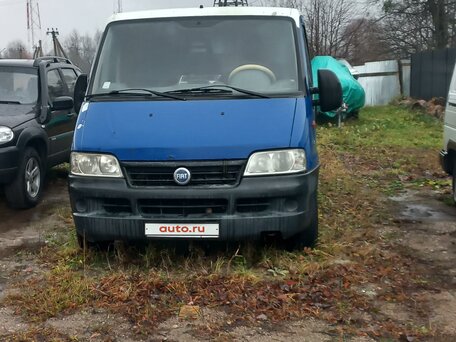 2002 Fiat Professional Ducato, синий, 330000 рублей, вид 2