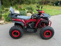 2026 Racer RC200 Gladiator, красный, 150000 рублей - вид 6
