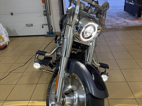 2021 Harley-Davidson Fat Boy, серый, 4000000 рублей, вид 3