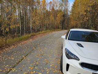 2019 Kia Stinger I, белый, 3000000 рублей, вид 2