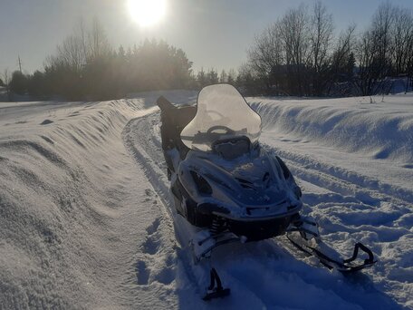 2005 Yamaha VK Professional, серебристый, 810000 рублей, вид 3