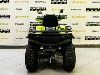 2025 Bashan Explorer 300, зелёный, 419000 рублей, вид 5