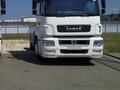 2016 КамАЗ 5490, белый, 1950000 рублей - вид 9