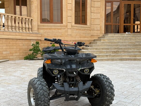 2021 Tiger Extra 175, чёрный, 100000 рублей