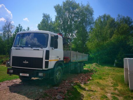 2008 МАЗ 6303, белый, 3300000 рублей, вид 2