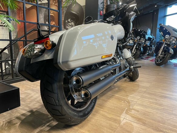 2024 Harley-Davidson Low Rider ST, серый - вид 6