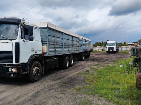 2004 МАЗ 6303, белый, 1350000 рублей, вид 3
