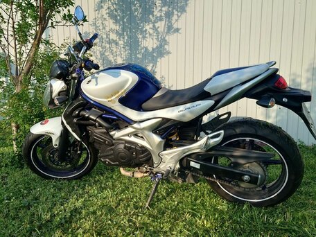 2010 Suzuki SFV 400 Gladius, белый, 420000 рублей, вид 3