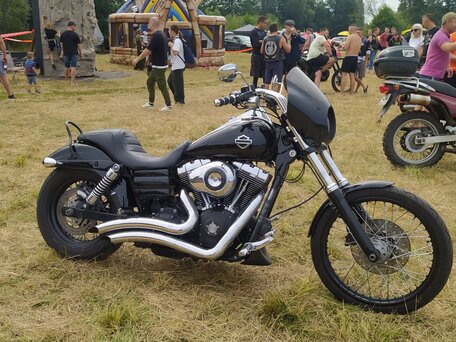 2009 Harley-Davidson Dyna Wide Glide, чёрный, 805000 рублей, вид 1