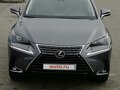 2021 Lexus NX 300 I Рестайлинг, серый, 2900000 рублей - вид 9