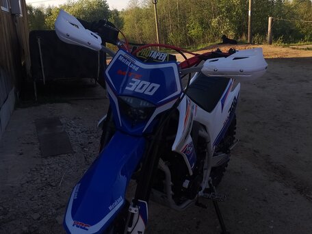 2024 Motoland Enduro 300, белый, 145000 рублей, вид 3
