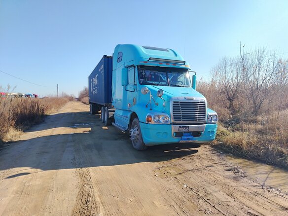 1998 Freightliner Century Class, голубой, 1350000 рублей - вид 5