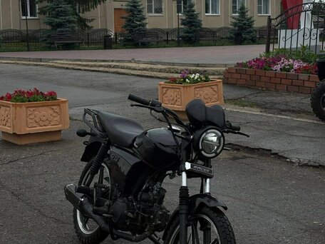 2024 Racer Alpha, чёрный, 40000 рублей, вид 2