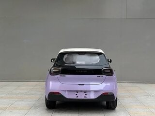 2025 Dongfeng Nammi 01 42.3 kWh, фиолетовый, 1453000 рублей, вид 3