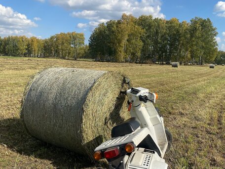 2000 Honda Gyro, белый, 69000 рублей, вид 3