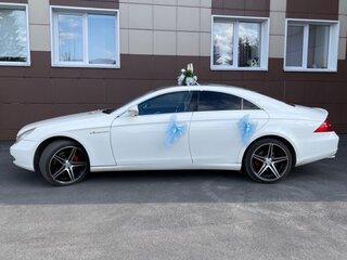 2006 Mercedes-Benz CLS 500 I (C219), белый, 1999000 рублей, вид 2