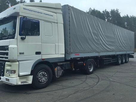 2006 DAF 95XF, белый, 1300000 рублей, вид 4