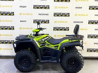 2025 Bashan Explorer 300, зелёный, 339000 рублей, вид 2