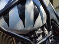 2003 Triumph Tiger 955i, серый, 350000 рублей - вид 10