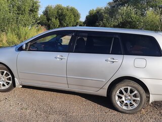 2003 Toyota Corolla Fielder IX (E120, E130), серый, 710000 рублей, вид 4