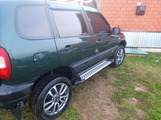 2004 Chevrolet Niva I, зелёный, 300000 рублей, вид 1