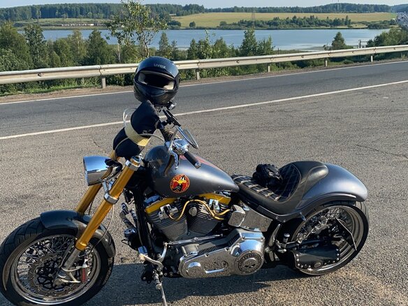 2005 Harley-Davidson Softail Custom, серый, 1200000 рублей - вид 6