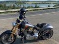 2005 Harley-Davidson Softail Custom, серый, 1200000 рублей - вид 6