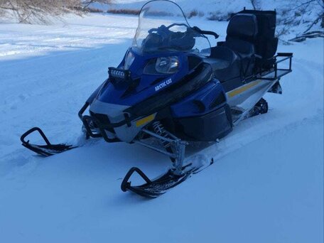 2009 Arctic Cat Bearcat, синий, 750000 рублей, вид 4