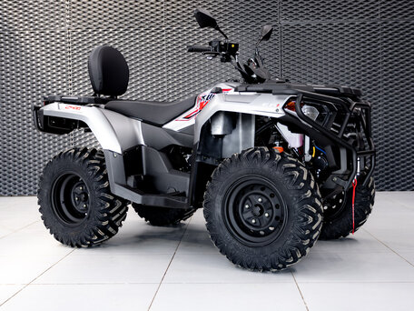 2026 Loncin XWolf 300, серый, 485000 рублей, вид 1
