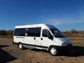 2009 Fiat Professional Ducato, белый - вид 1