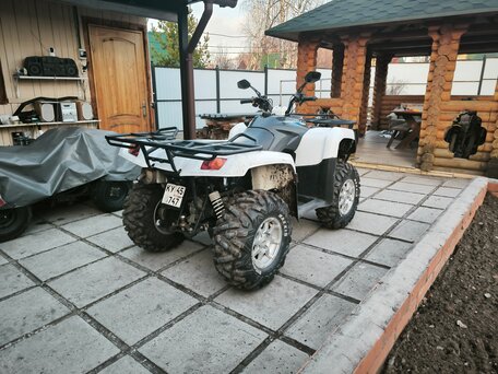 2010 Stels ATV-700, белый, 475000 рублей, вид 5