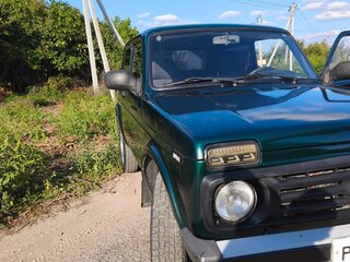 2012 Lada (ВАЗ) 2121 (4x4) I Рестайлинг, зелёный, 515000 рублей, вид 2