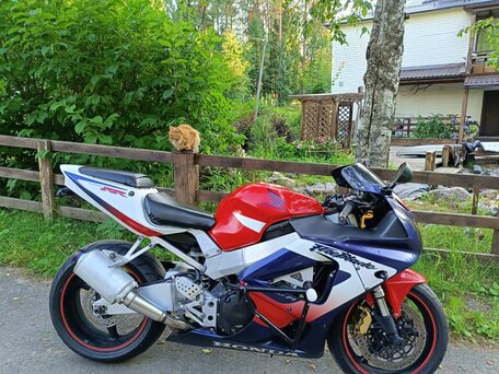 2001 Honda CBR 929RR Fireblade, белый, 340000 рублей, вид 1