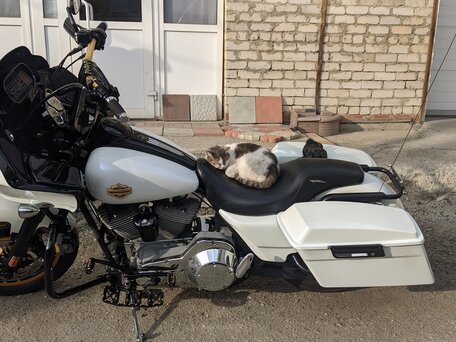 2004 Harley-Davidson Road Glide, белый, 890000 рублей, вид 4