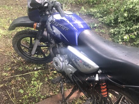 2017 Bajaj Boxer BM 150X, синий, 110000 рублей, вид 3