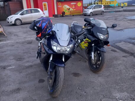 2001 Honda CBR 929RR Fireblade, синий, 500000 рублей, вид 3