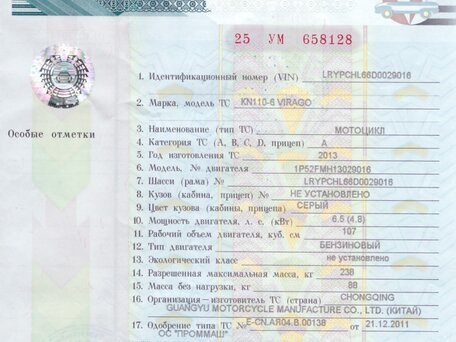 2013 Irbis Virago (Alpha), серый, 47000 рублей, вид 3