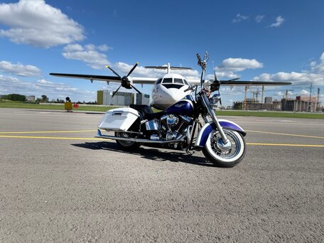 2010 Harley-Davidson Softail Deluxe, пурпурный, 1350000 рублей, вид 2