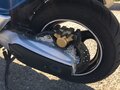 2002 Yamaha TMAX, синий - вид 6