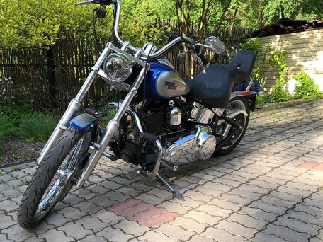 2008 Harley-Davidson Softail Custom, синий, 999999 рублей, вид 1