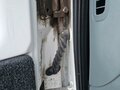 2013 ГАЗ ГАЗель (3302), белый, 930000 рублей - вид 8