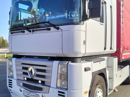 2003 Renault Magnum, белый, 3800000 рублей, вид 5