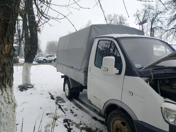 2004 ГАЗ ГАЗель (3302), белый, 450000 рублей - вид 7