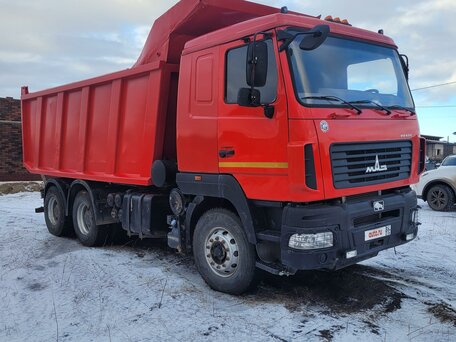 2021 МАЗ 6501, красный, 2600000 рублей, вид 2
