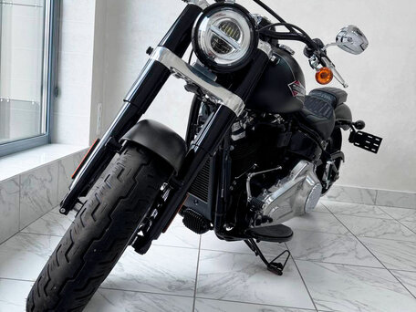 2021 Harley-Davidson Softail Slim, коричневый, 1680124 рублей, вид 2